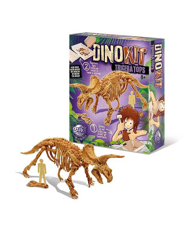 Dino Kit - 4 modèles assortis