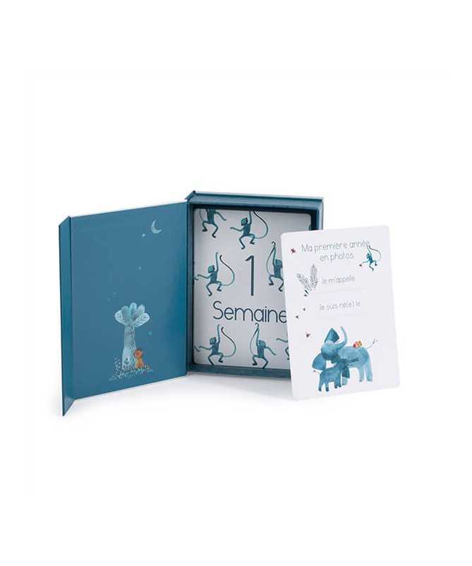 Cartes Mes 12 premiers mois - Sous mon baobab (30 cartes) Cartes Mes 12 premiers mois - Sous mon baobab (30 cartes)